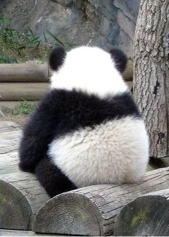 여자들한테 치명적으로 보인다는 뒷모습 ㄷㄷㄷㄷㄷ.JPG | 인스티즈